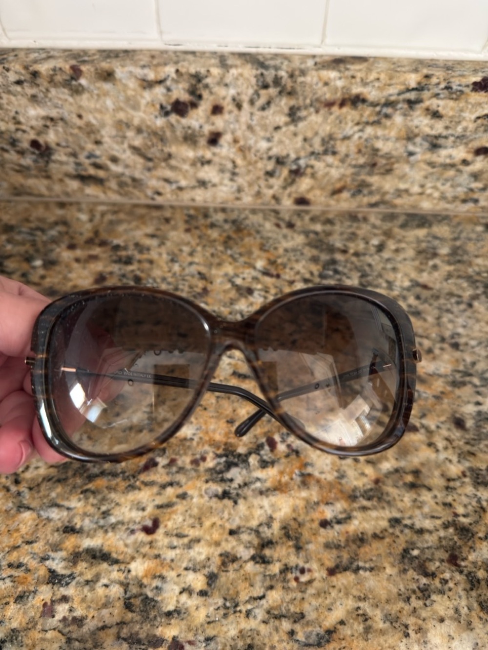 Tom Ford Women's Oversized Brown Gradient Sunglasses